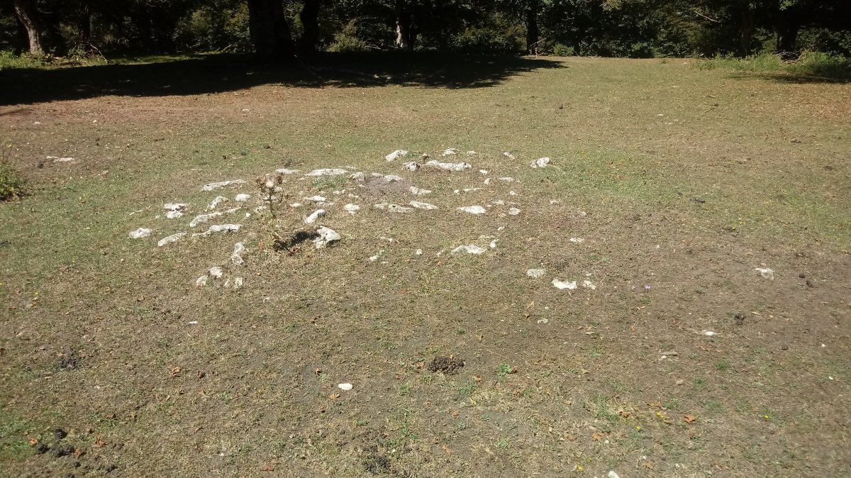 Lezarugi tumuloa (2018)