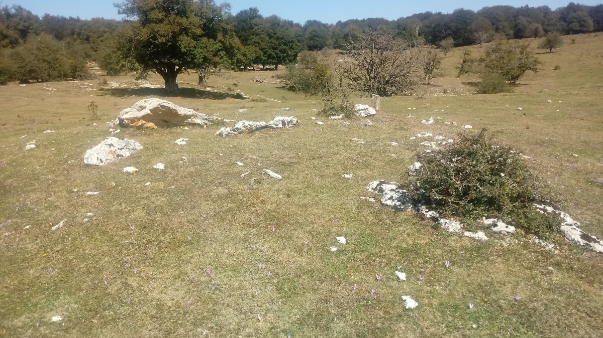 Larreaundi trikuharria 3