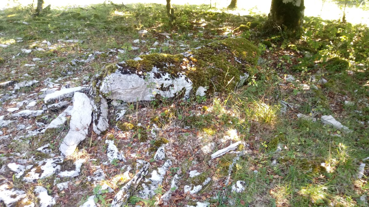 Armorkora zutarria 4