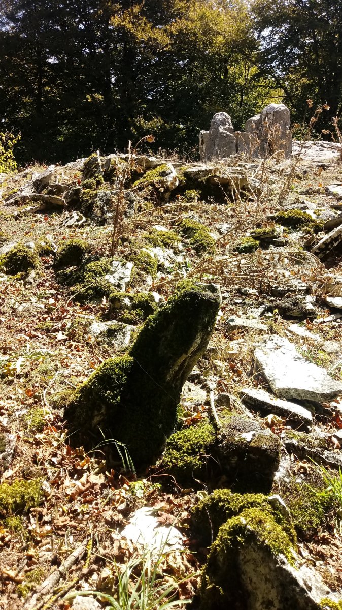 La Cañada trikuharria 5