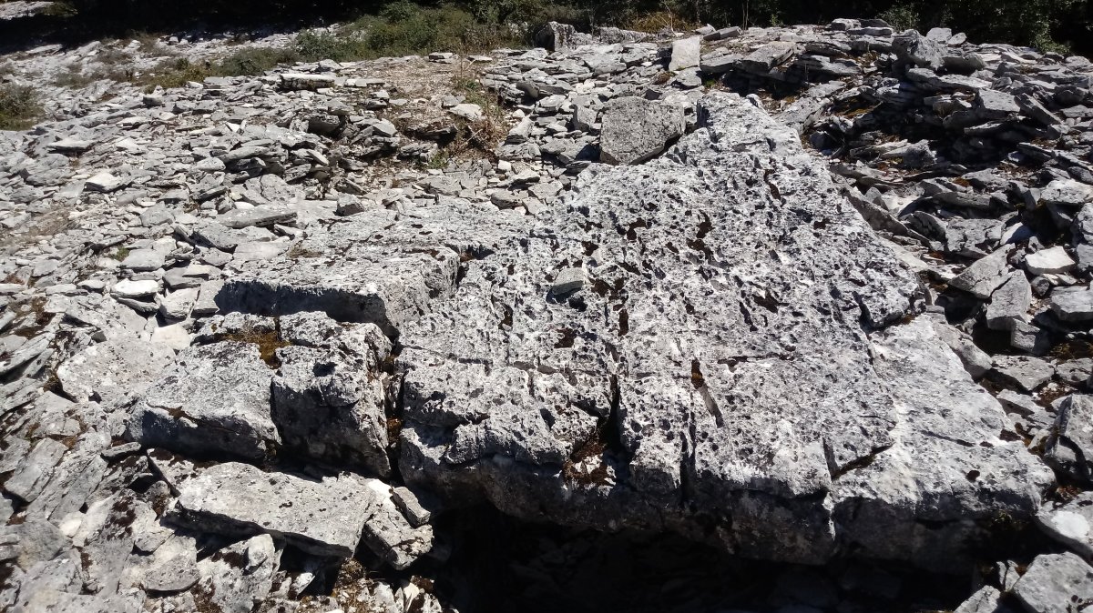 Arteko Saroa trikuharria 4