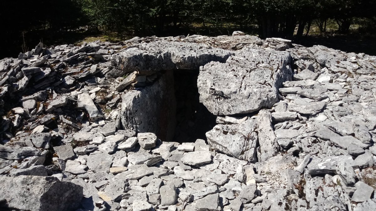 Arteko Saroa trikuharria 3