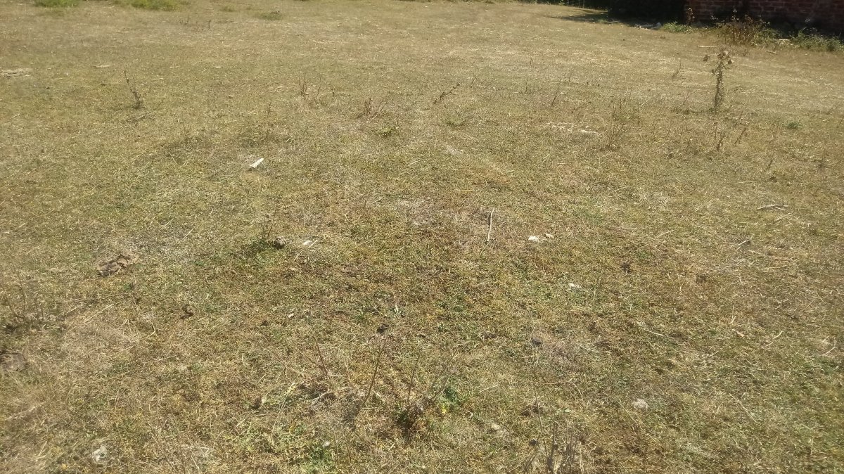 Corral de Celestino tumuloa (2018)