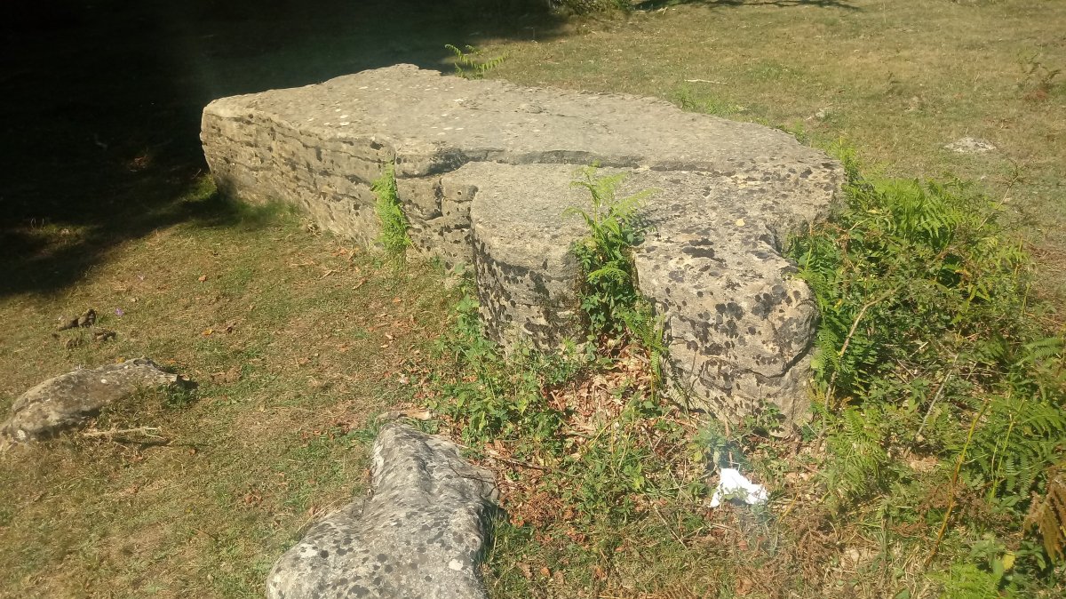 Gortasoro II hego zutarria (2018)