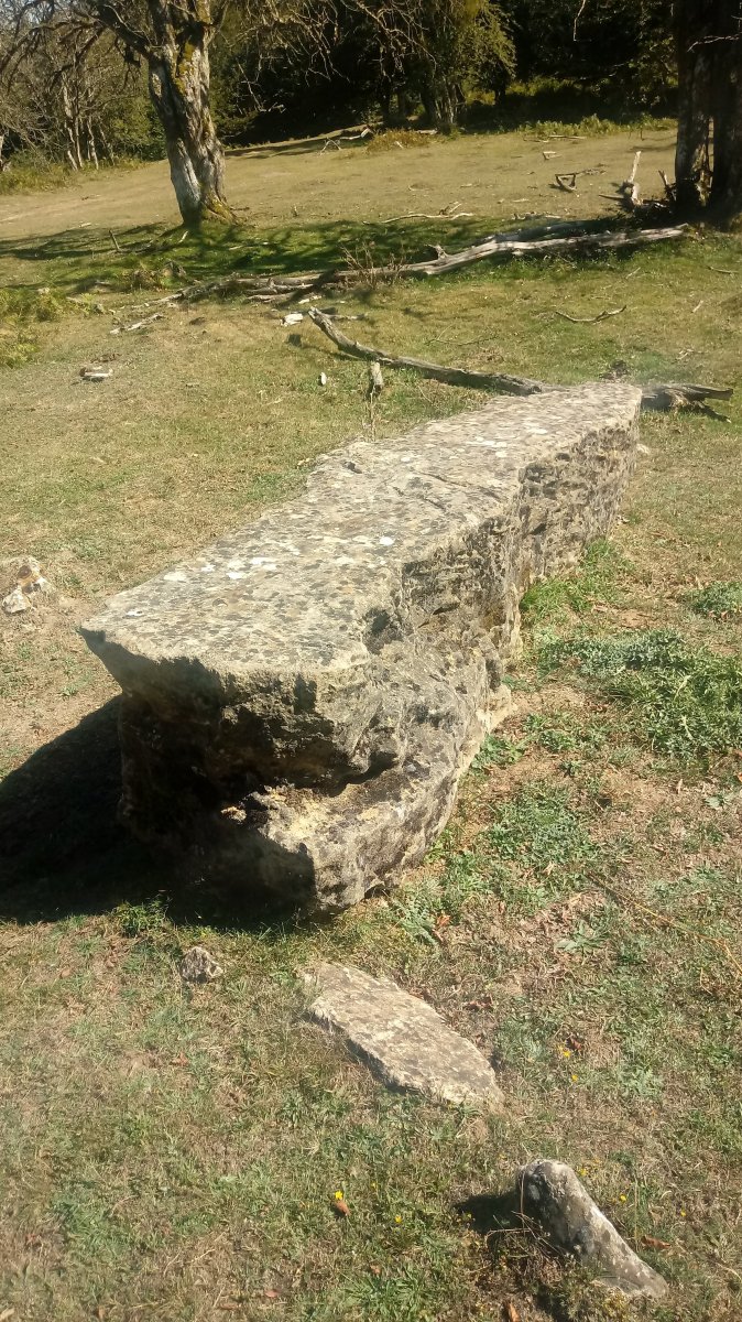 Gortasoro I Hego zutarria 2