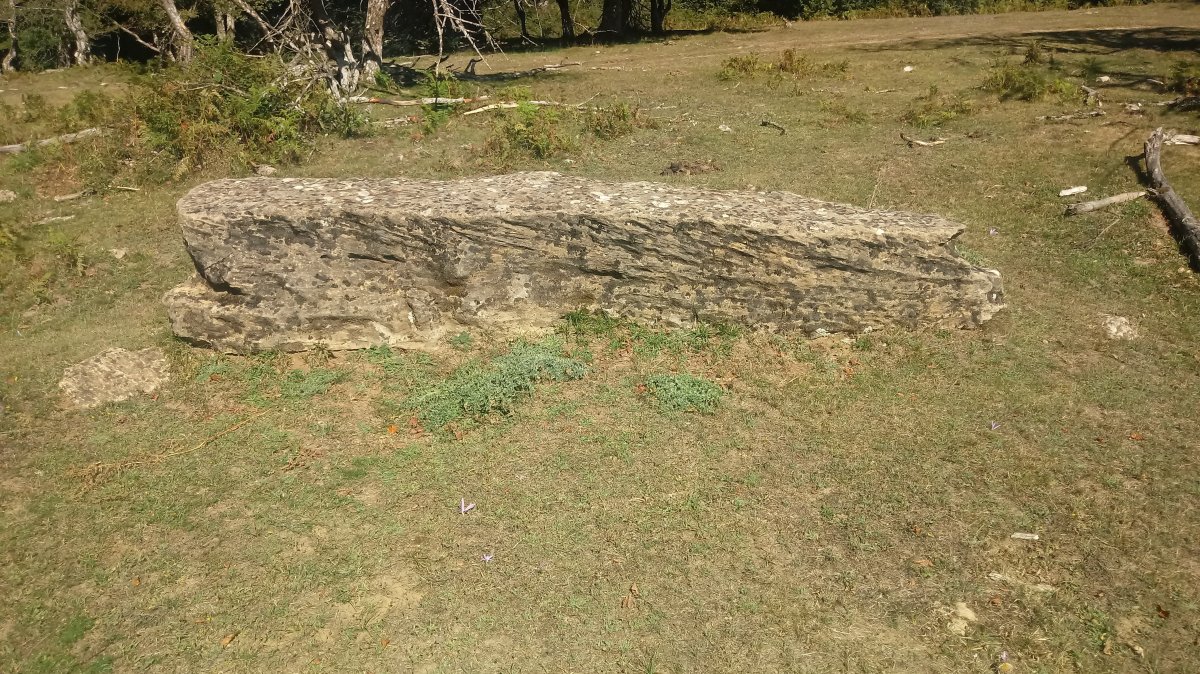 Gortasoro I Hego zutarria (2018)