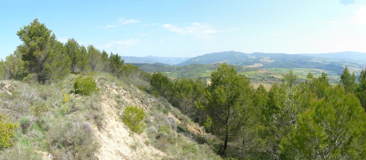 Gailurretik iparralderantz luzatzen den adarra, ikuspegi zabalekoa