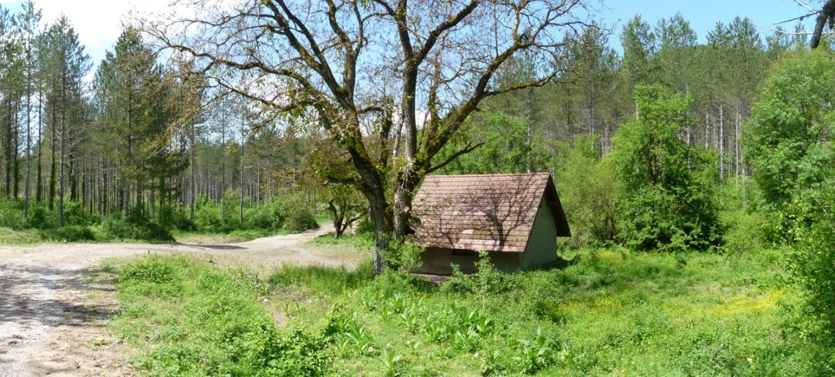 Etxola Rakasko basoan