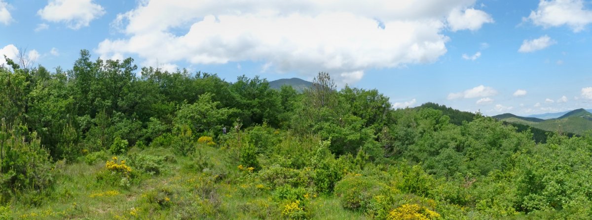 Txaparralgo gainaldea