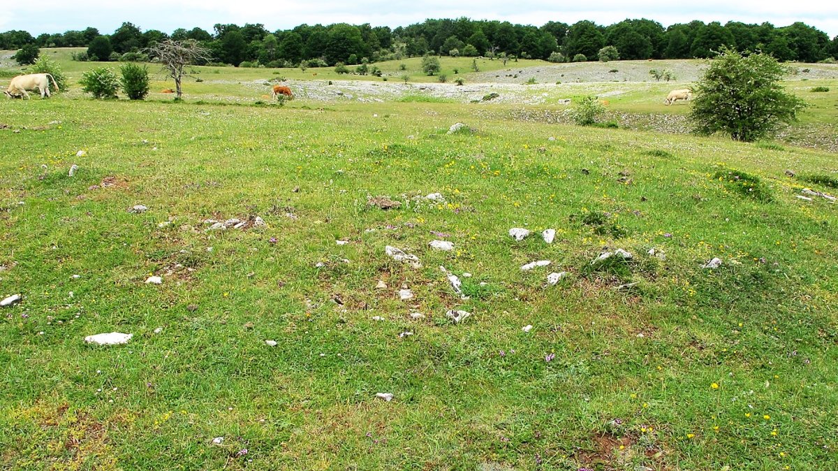 Baltsa Bardoitza 1 mendebalde tumulua, Urbasa