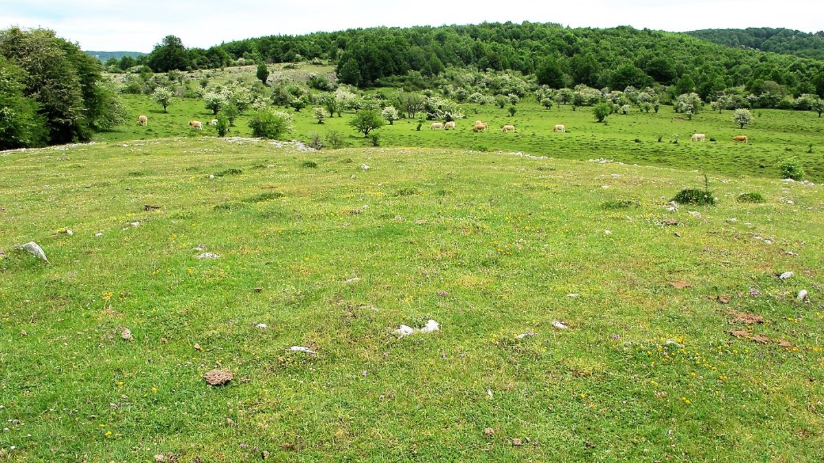 Baltsa Bardoitza 1 mendebalde tumulua, Urbasa