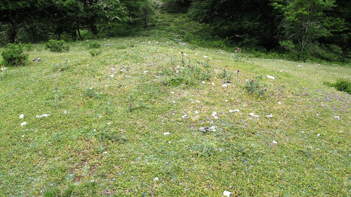 Bardoitza etxola hondoa, Urbasa