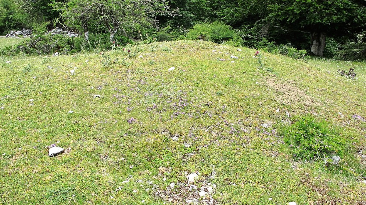 Bardoitza etxola hondoa, Urbasa