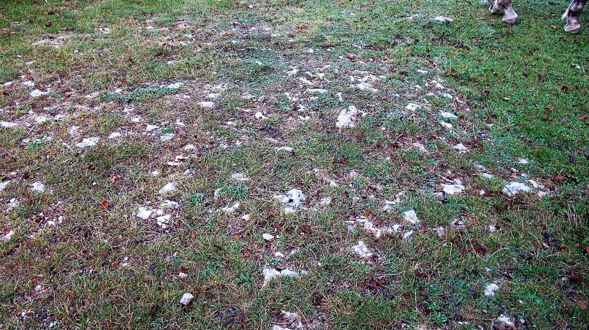 Ezkizako pista tumulua, Urbasa