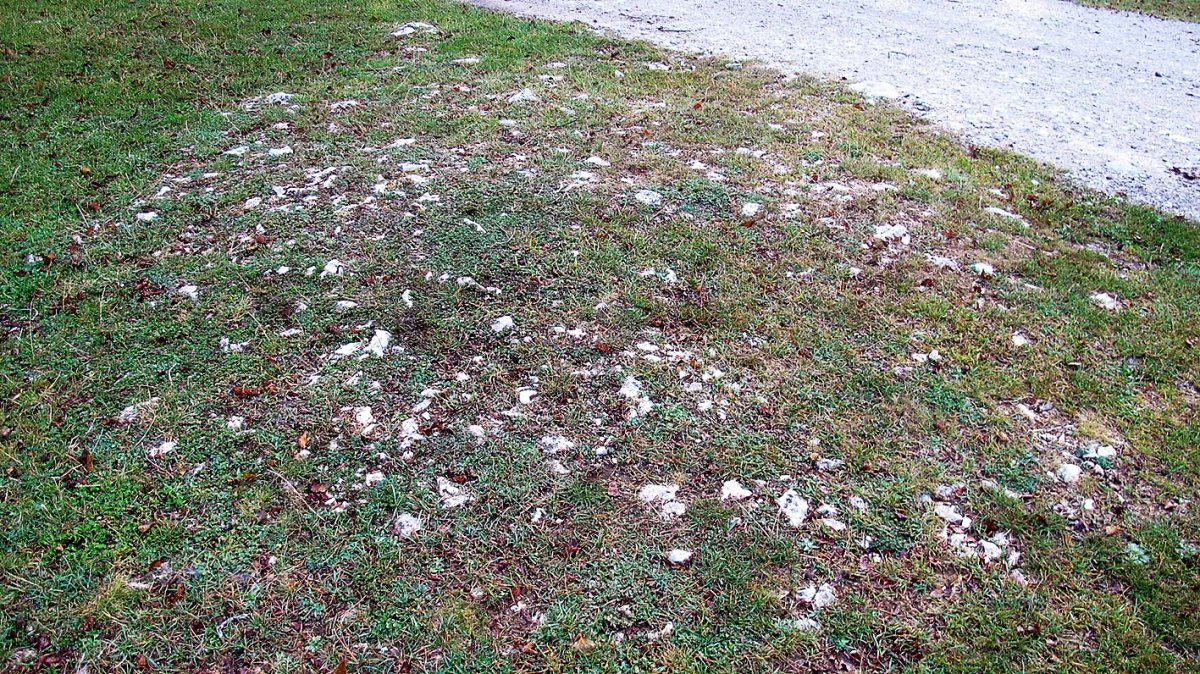 Ezkizako pista tumulua, Urbasa