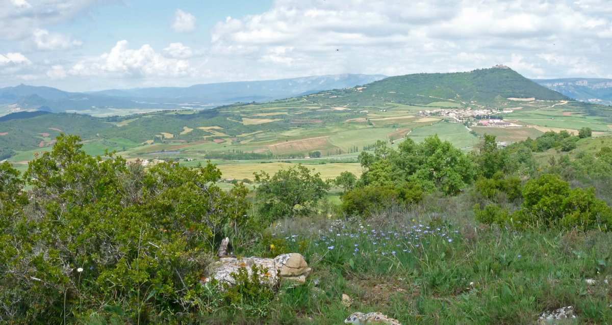 Alto del monteko gailurra (790m)