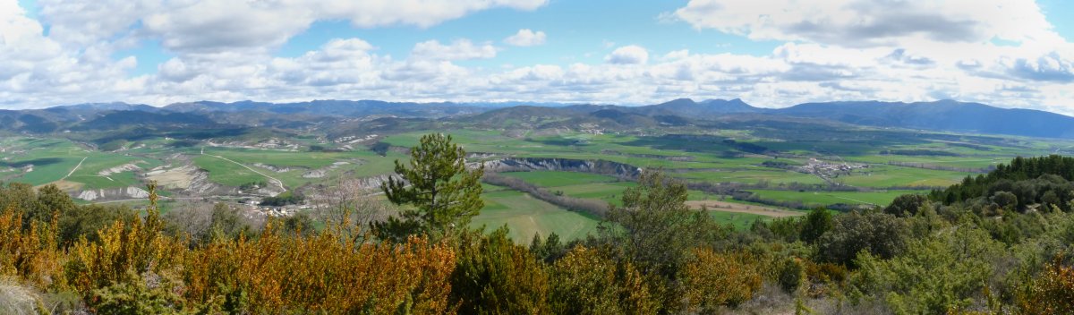 Paisaia zabalak bidetik