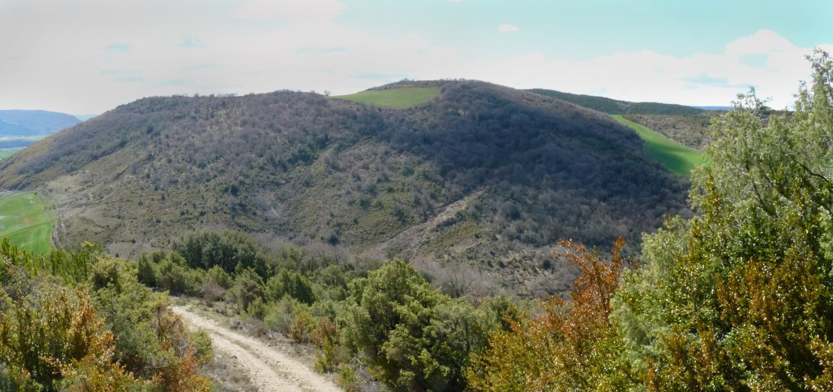 Askotz, Gongolatzetik