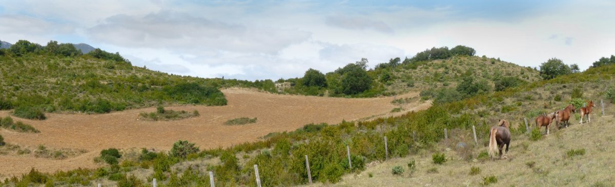 Turrillasko mugako gaina