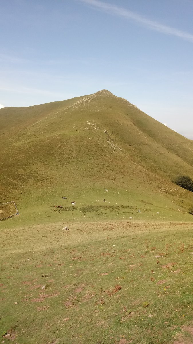 Mendieder (1071m) Mendaurretik