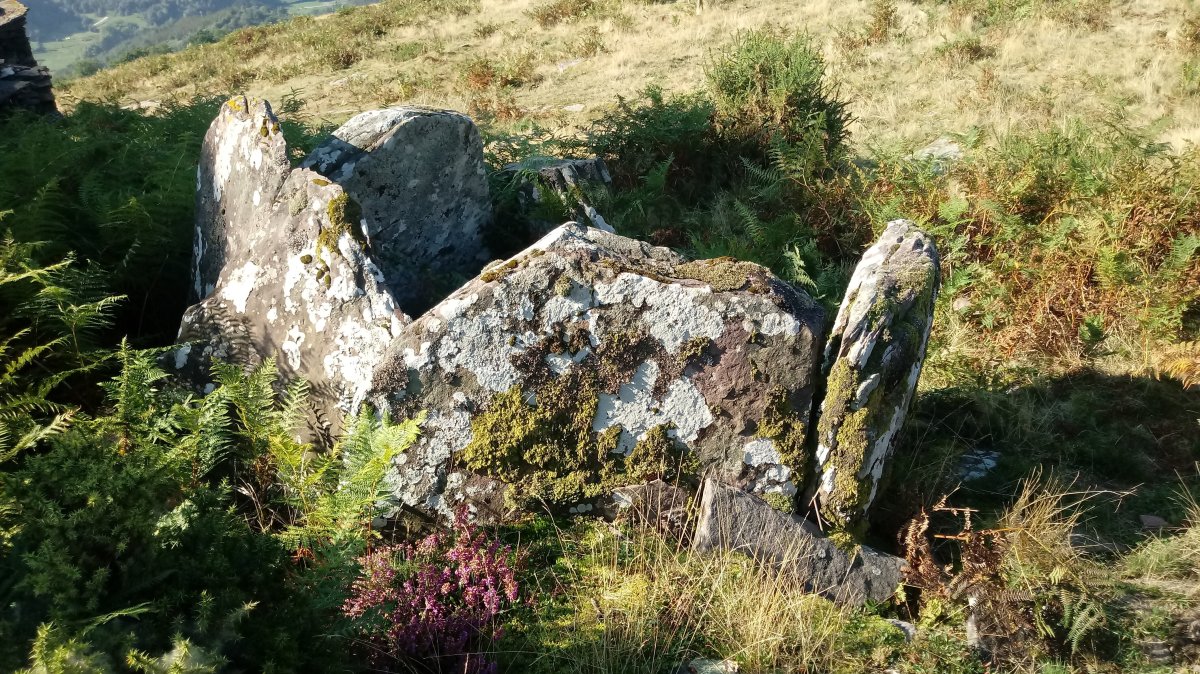 Baikuntzeko Etxola trikuharria 3