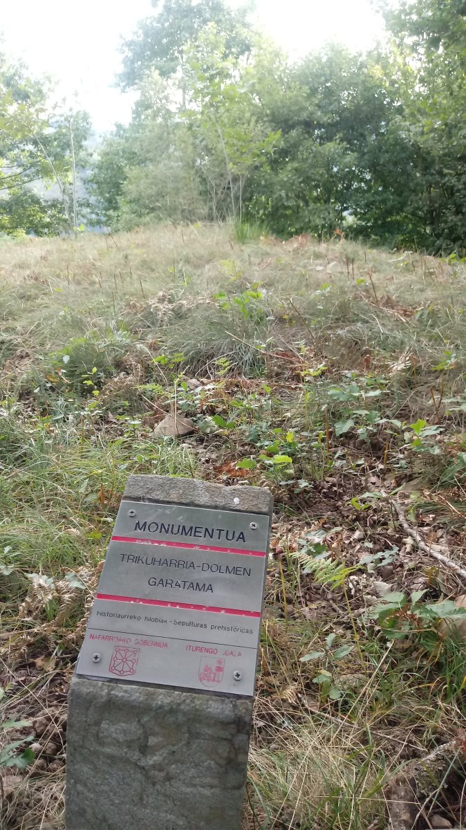 Garatama trikuharria (2018)