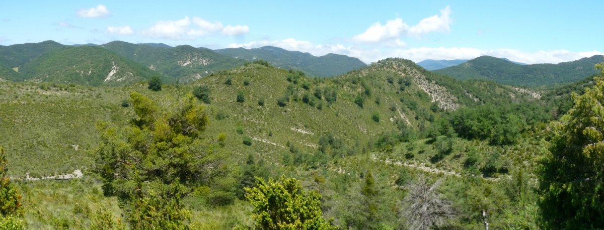 Paisaia zabalak Eparozko bidetik