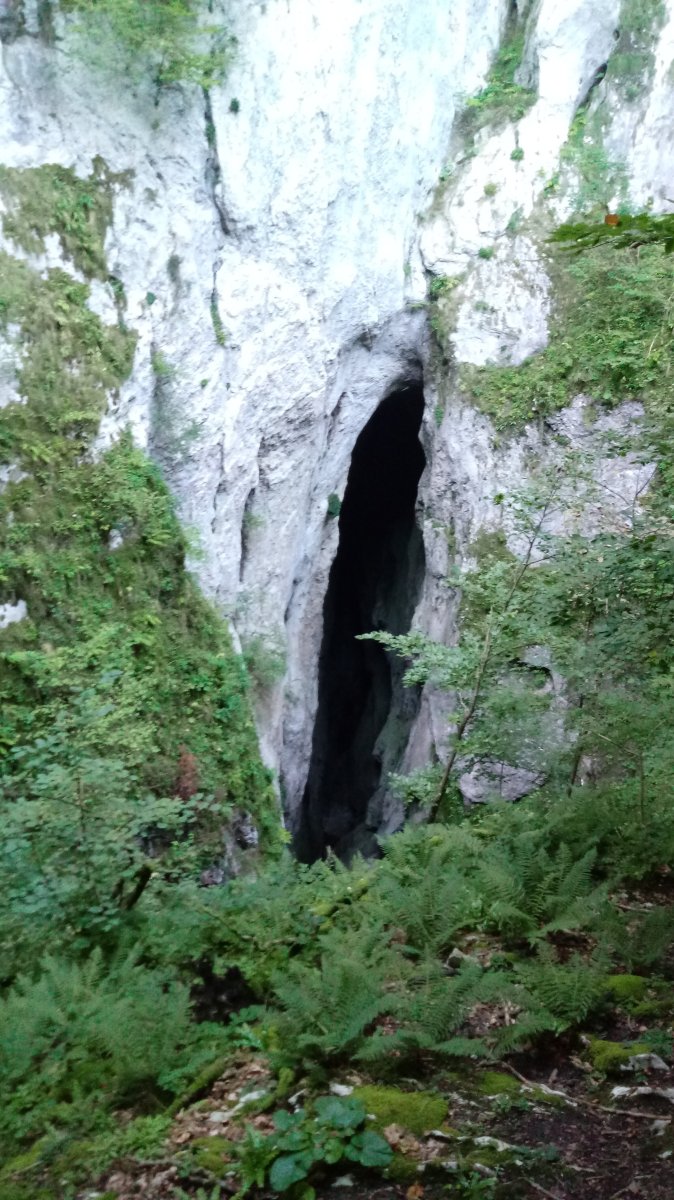 Lezea, barnealdeko aitzuloa