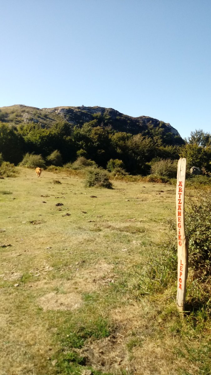 Artzanegi Lepoa, atzean mendia