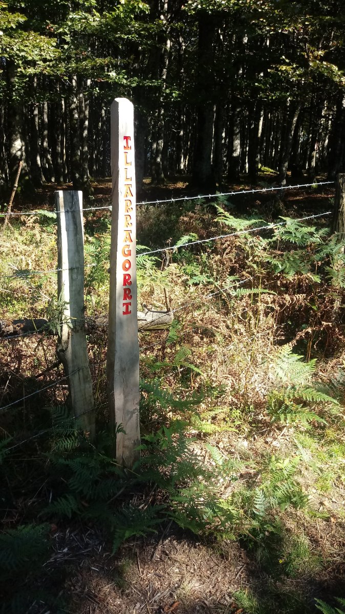 Illarragorri izen-estaka