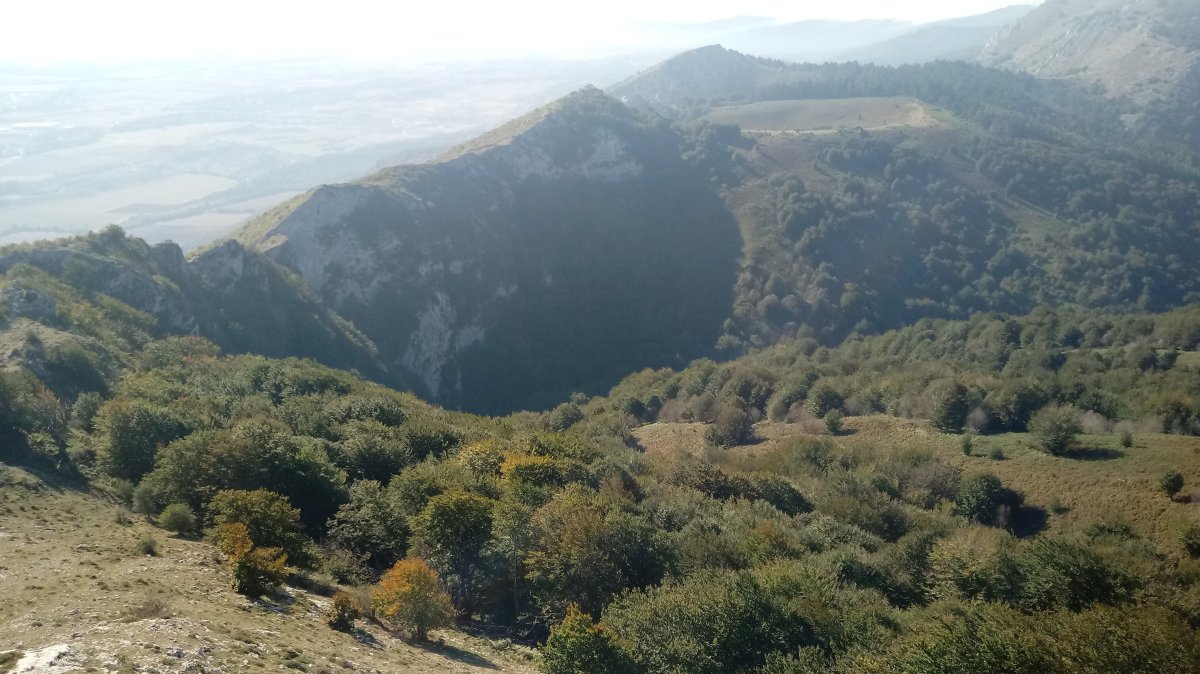 Lezea zuloa Olanotik