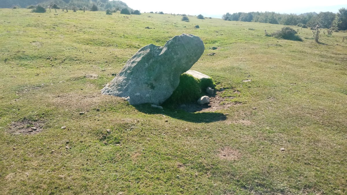 Olano zutarria (2018)