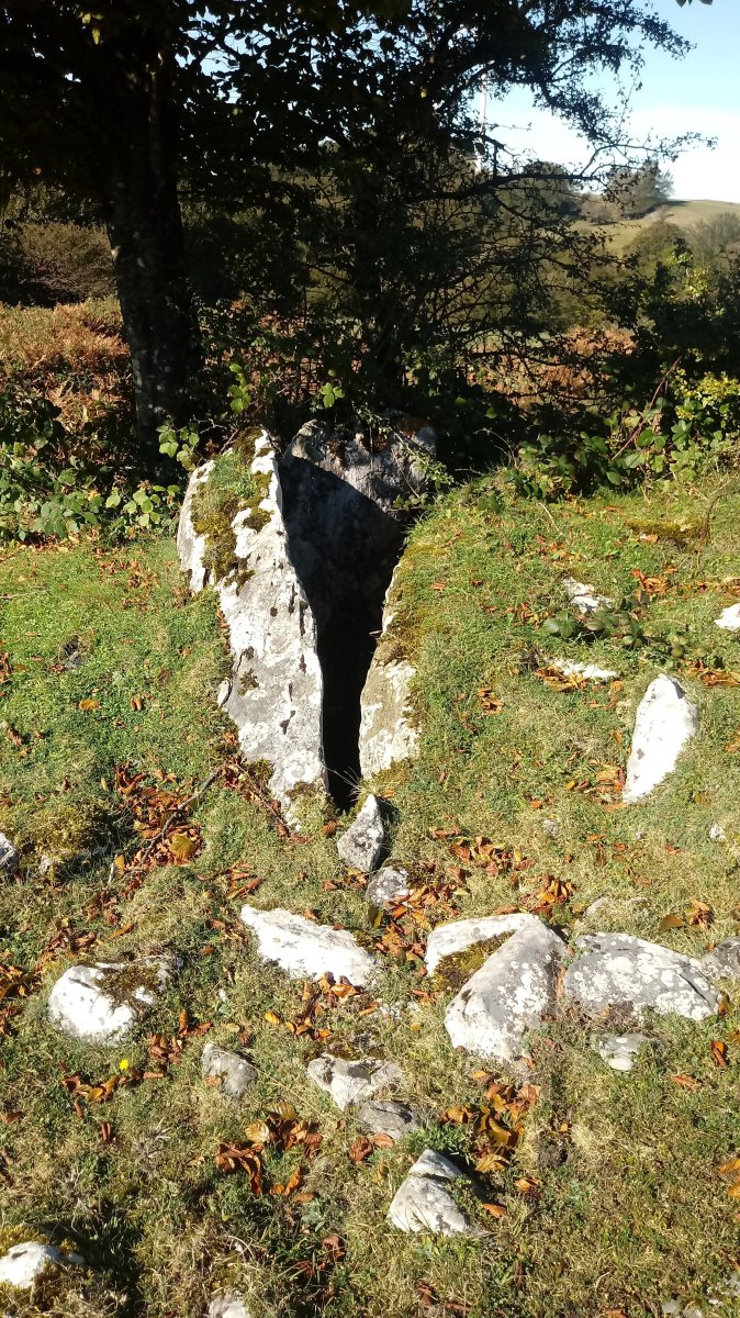 Agorritz trikuharria