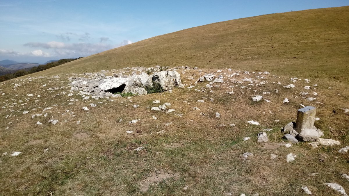 Bi Ahizpen Sepulture (Leizegi) trikuharria 4