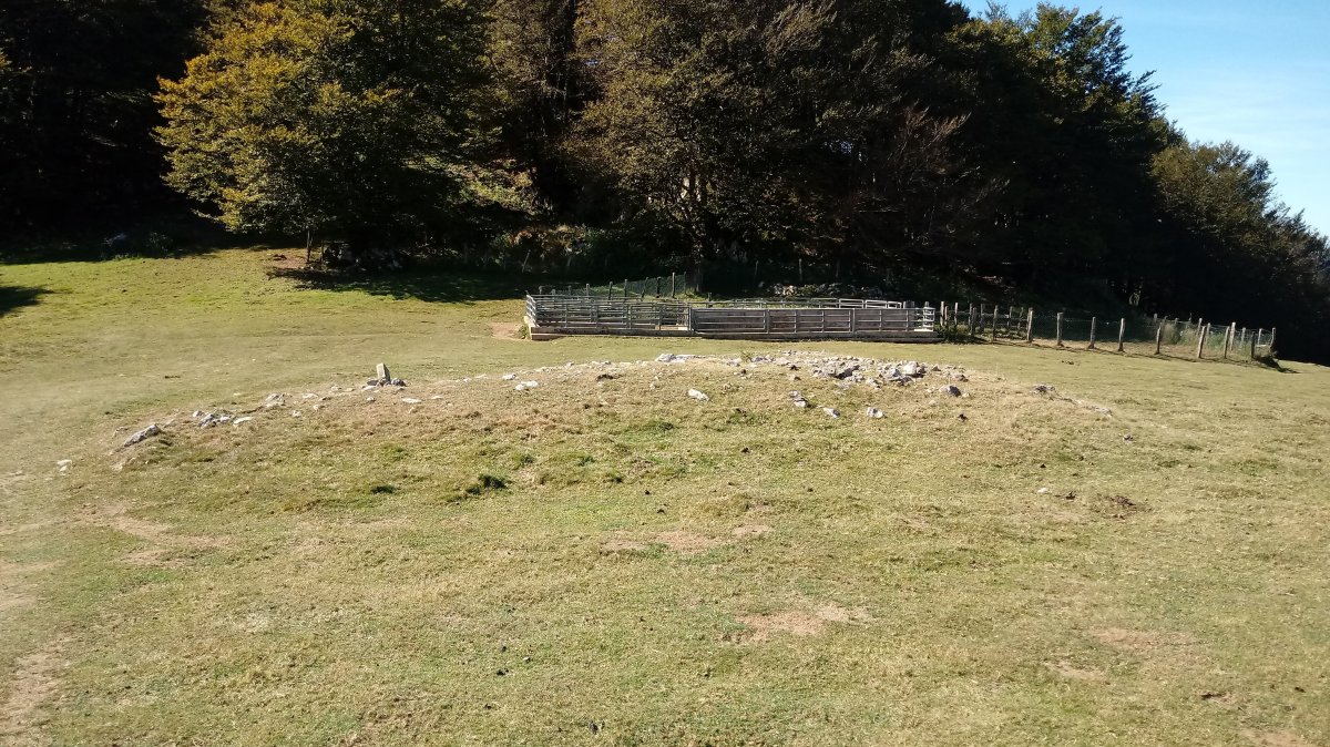 Bi Ahizpen Sepulture (Leizegi) trikuharria (2018)