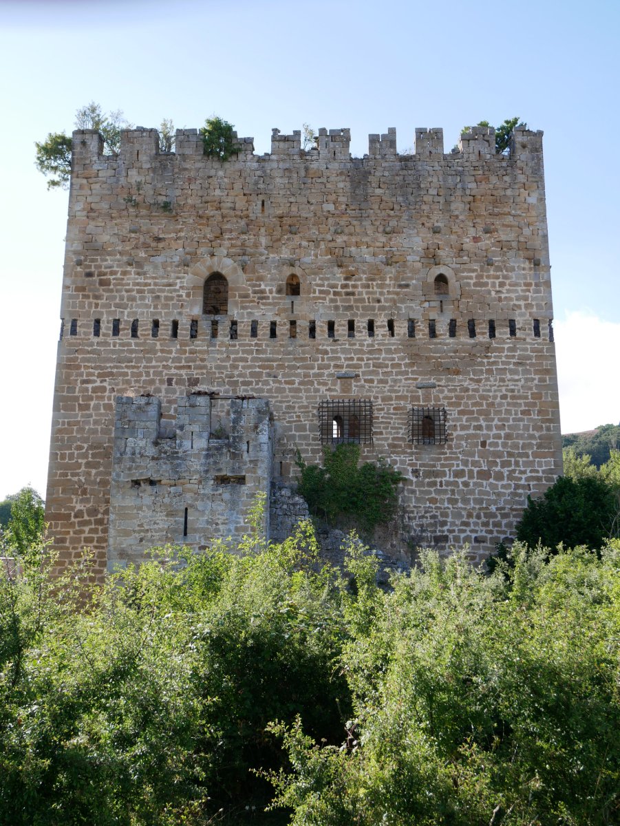 Velasco dorretxea, Espinosa de los Monteros
