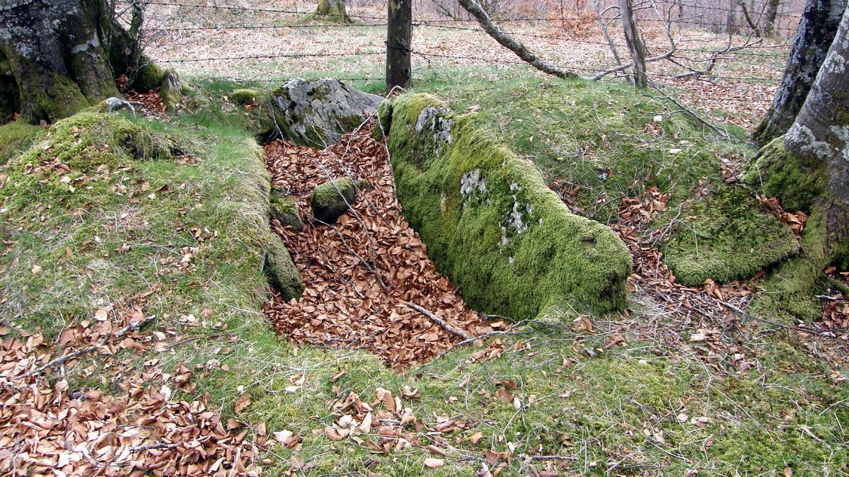 Alkardur trikuharria, Arrarats-Basaburua