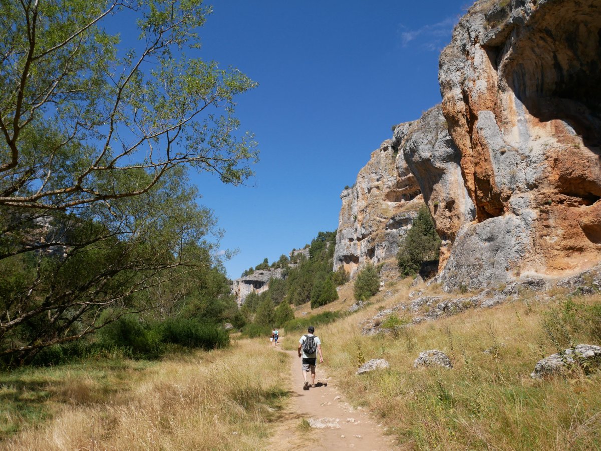 Lobos ibaiaren arroila