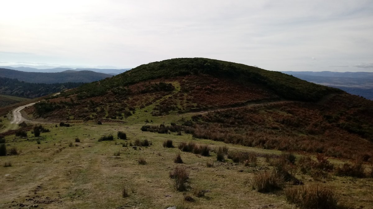 Nafarkorta (1016m) mendia Araneko Harria aldetik