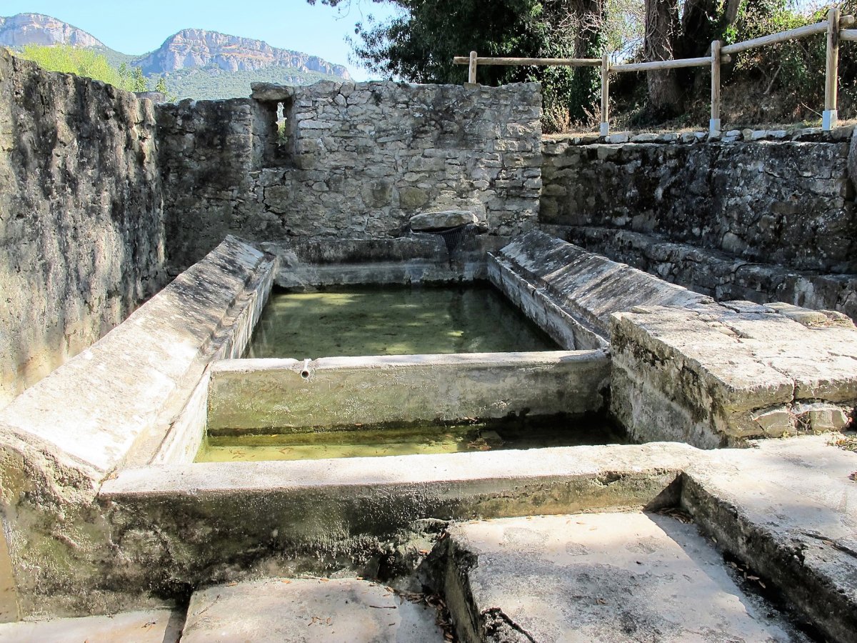 Garbitokia, Eultz-Allin