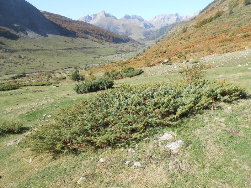 BARRANCO LOS ARRIGAZUELOS 2