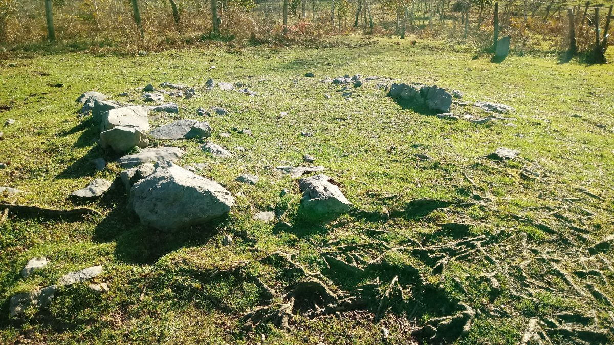 Zaingo Ordeka trikuharria 4