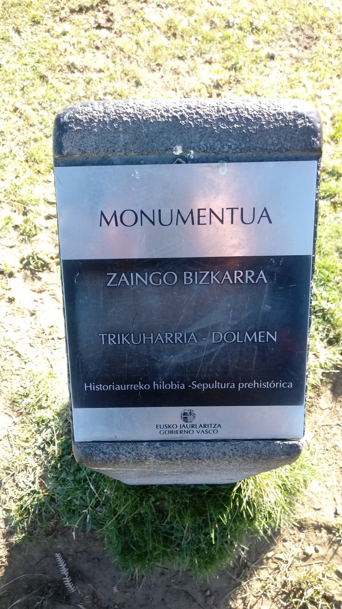 Zaingo Bizkarra trikuharria (2018)