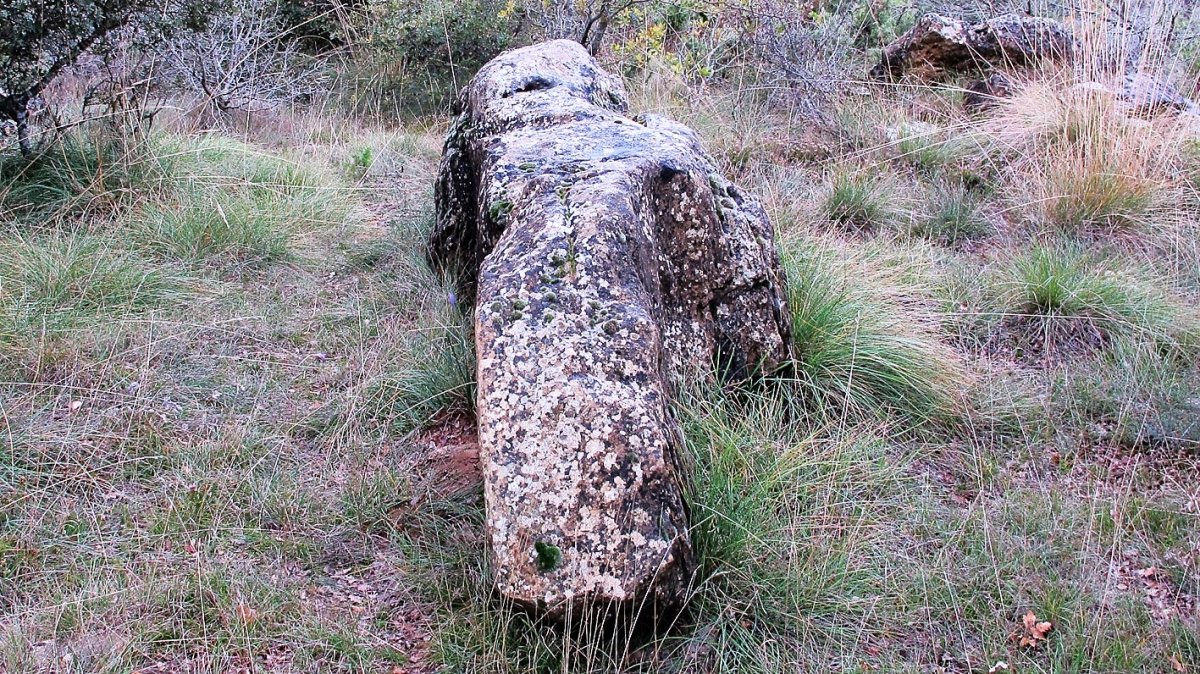 Oiangibela zutarria, Santsoain-Leotz