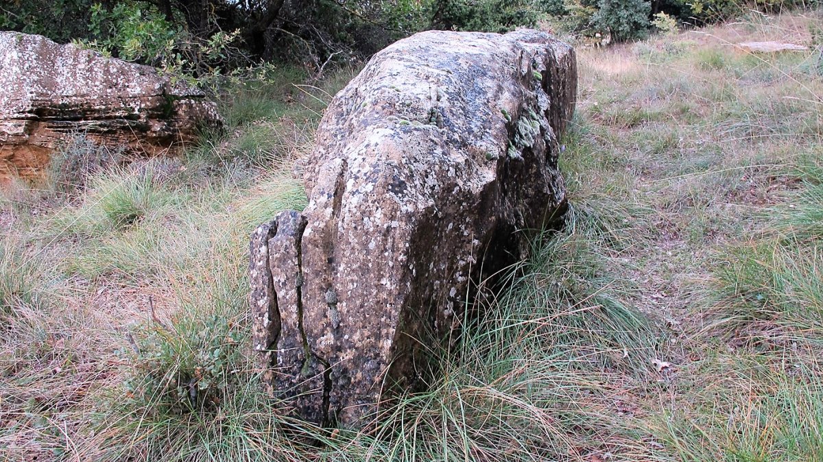 Oiangibela zutarria, Santsoain-Leotz