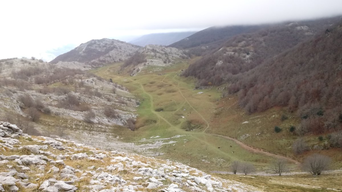 Degurixako zelaia Arlutz aldetik