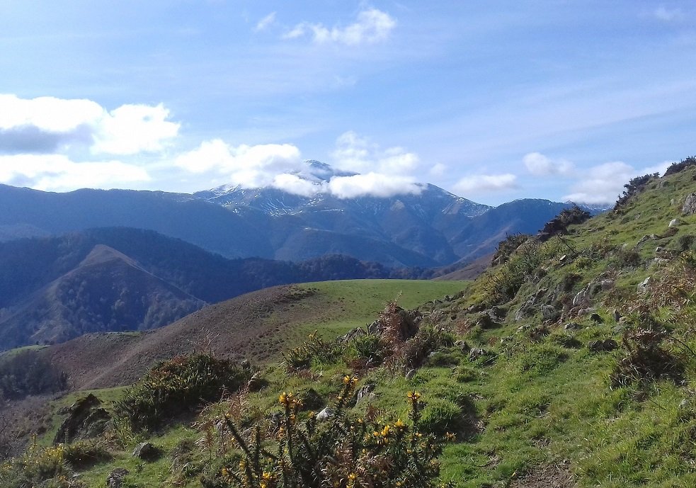 Orhi, Bosmendietatik