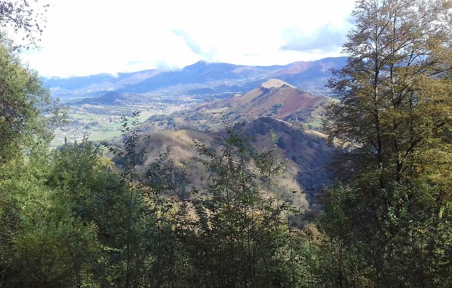 Ligiko ibarra, oihanatik