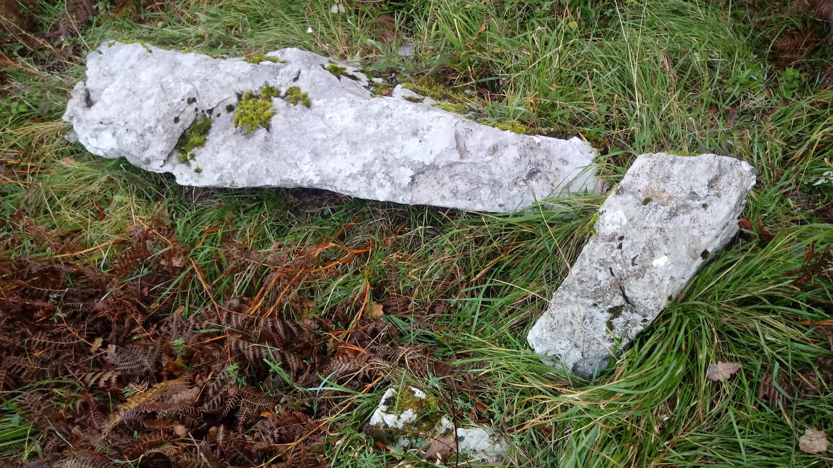 Urritza trikuharria 4