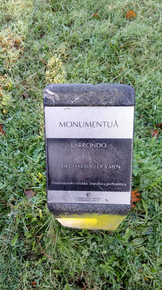 Larrondo trikuharria (2018)